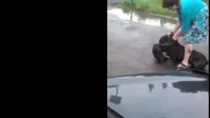 Dlatego baby nie powninny wychodzić z pitbullem na spacer :)