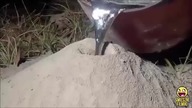 Mrowisko vs płynne aluminium
