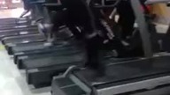 Ćwiczenia na bieżni lvl boski 