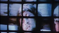 Polska Kronika Filmowa nr 1 z 1994 r.  &ndash; Jubilat Wojtek, Bardziej w prawo, Życie w akwarium, A