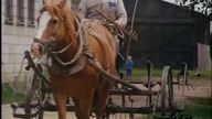 Polska Kronika Filmowa nr 25 z 1994 r.  – Głosy