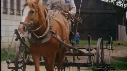 Polska Kronika Filmowa nr 25 z 1994 r.  &ndash; Głosy