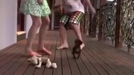 Agresywna bestia staje w obronie swojej pani