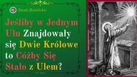 Jeśliby w jednym ulu znajdowały się dwie królowe to cóżby się stało z ulem? | 27 Maj