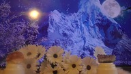 Czy ON/ONA tęsknię za Tobą?  TAROT  Karty wyboru 