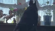 Ciekawość !