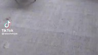 MŁODY NA BUDOWIE CZ 10