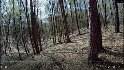 Szukanie grzybów  Jest plan na sadzenie bananów tu i tam,relax,dron. Pozdrówka