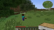 Zagrajmy w Minecraft multiplayer - Przygoda Trzech Świrniętych Muszkieterów  #1