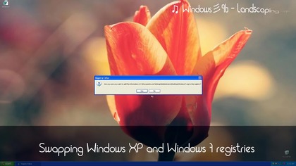 Swapping Windows registries