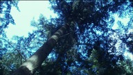 SGA. S03E04 [BluRay. 1080p. x264. V2. AC3-LTN][Lektor PL][Alusia]