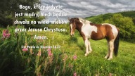 Audycja Wyzwolony Jack Franklin