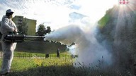 Plaga komarów! zagraża Polsce!