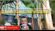 Odc. 415 Live Na Żywo ! - Plany Na Rok 2018.  Rośliny egzotyczne uprawiane w Polsce.