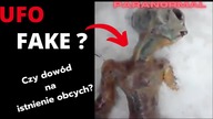 Zwłoki UFO?