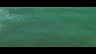 Wody pełne rekinów (Shark Waters) (2022 SciFi)
