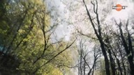 Hakerzy, nowi najemnicy Putina film dokumentalny lektor pl