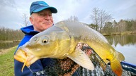 Method feeder gadżet show ze Stachem
