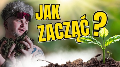 JAK ZACZĄĆ UPRAWĘ  W DOMU? Poradnik dla początkujących