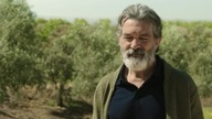 To właśnie życie (2018) lektor pl
