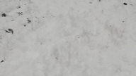 Snow Monster! Subscribe me! / Subskrybuj! #shortvideo #shorts #short #shortsvideo
