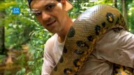 Prima Zoom Czech [13.04.2016] - Continuity 
