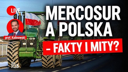 Mercosur a Polska - fakty i mity | Prof.  Kalinowski w IPP