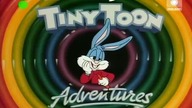 Tiny Toon Adventures 1990 S01E020 DUBpl 480p