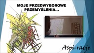 Przedwyborcze przemyślenia, co ja o tych pasożytach sądzę... ?