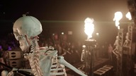 Carnival of Doom 2014
