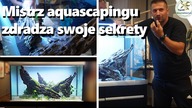 Zakładanie akwarium.  Pokaz Marcina Zająca.  #akwarium #zakładanie #akwariumroślinne