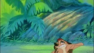 Timon and Pumbaa - Season 1 Episode 8 Watch Free in HD - Fmo