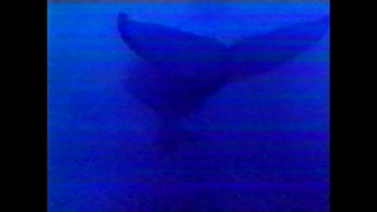 Prywatka 1 ....Knapik Bazar... VID-1739650259308