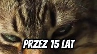 Czy Kot Kiedyś Był PREZYDENTEM?