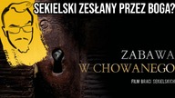 Czy prawda może szkodzić? | Komentarz do filmu Zabawa w chowanego braci Sekielskich