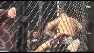 Pelea Callejera vs Mma