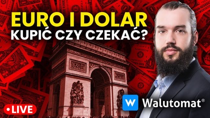Euro i dolar po dużych spadkach! Czas na zakupy walut?