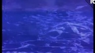 The Shamen - Move Any Mountain - Progen 91