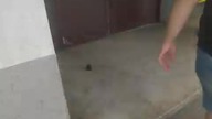 Winda Lift Service i Zremb mod.  TransLift - Grunwaldzka 17, Rzeszów