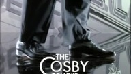 Bill Cosby Show S07E15 - Attack of the Killer Bs