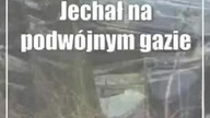 Jechał na podwójnym gazie i roztrzaskał się na drzewie