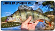 OKONIE NA SPINNING W LUTYM // wyniki konkursu // 2024