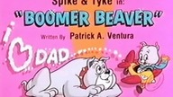 Tom i Jerry 12 (Dubbing PL)