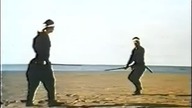 Ninjas Force - scena finałowa