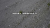 Ingmar Bergman.  Okiem choreografa