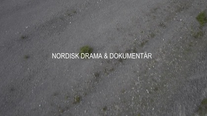 Ingmar Bergman.  Okiem choreografa