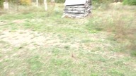 Dzięcioł, nagranie drugie