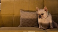 Lainey. Wilson. Keepin. Country. Cool. 2026. 720p. WEBRip. x264. AAC-[YTS. BZ]