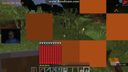 nasionka i drewno 4 (1412)