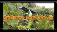 77 Lato 2015 Kolejny rok z egzotykami w ogródku.  CZ. 2